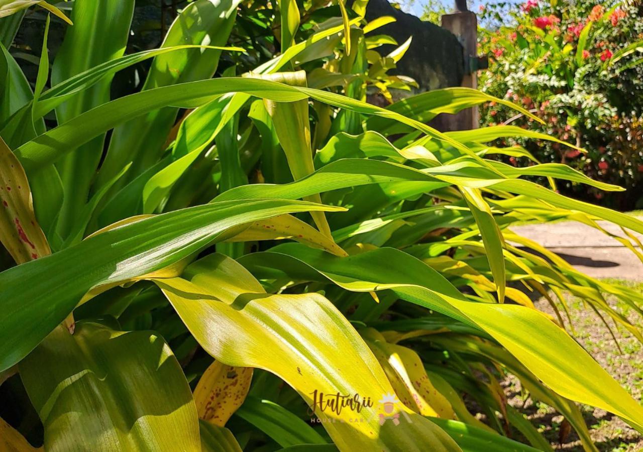 Villa Hutiarii House & Car & Excursions Raiatea Tevaitoa Exterior foto